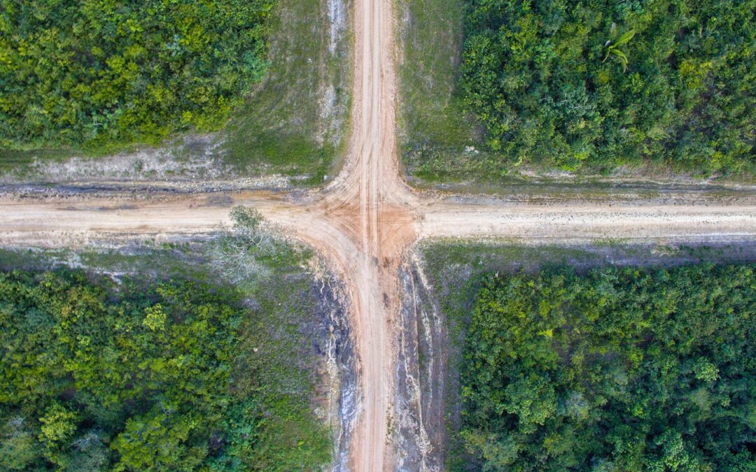 Abgabefrist für deine Berufung? Wie du dir als Maturant:in rechtzeitig Klarheit verschaffst