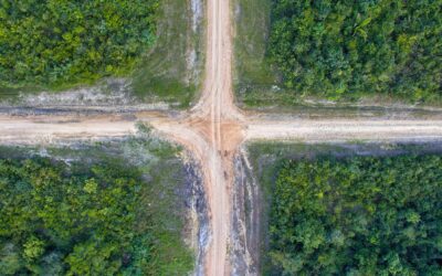 Abgabefrist für deine Berufung? Wie du dir als Maturant:in rechtzeitig Klarheit verschaffst